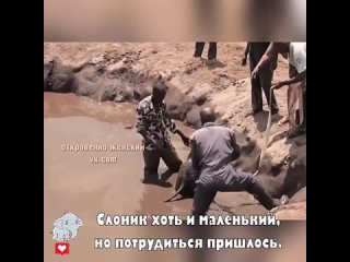 Её воссоединение было таким милым, а затем она оглянулась назад, чтобы сказать с