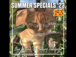 Summer Specials 2023 E12 #newmusic #np #nowplaying