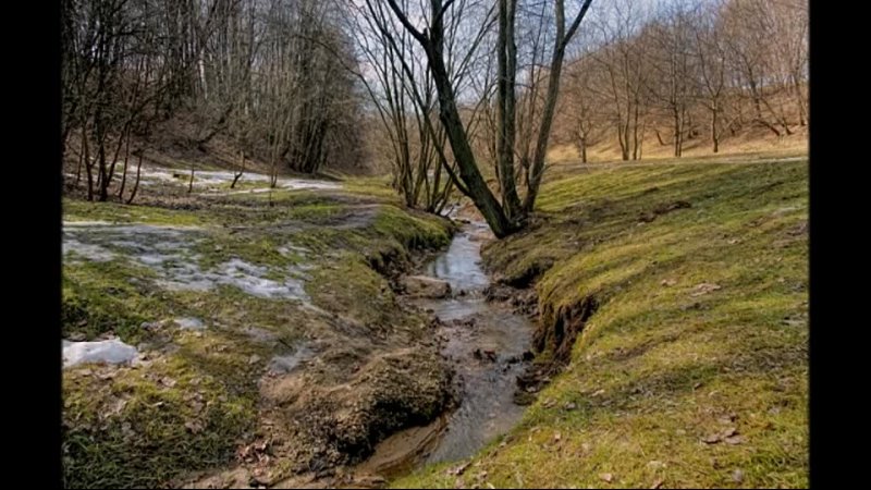 Весной весело журчат ручьи. Журчащий весенний ручей. Весенние ручьи.