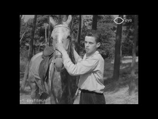 Vier Rakkers en een oude jeep (1959 Нидерланды) приключения дети в кино Режиссер: Хенк ван Дер Линден