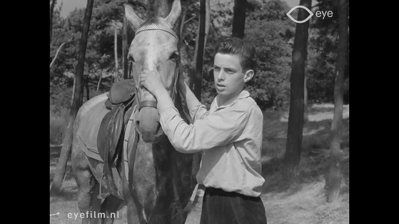 Vier Rakkers en een oude jeep (1959 Нидерланды) приключения дети в кино Режиссер: Хенк ван Дер Линден