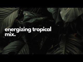 Energizing tropical playlist (exotic soft house).mp4