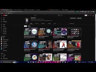 Dolphin Text-To-Video Interaction Platform for Chatbot Development