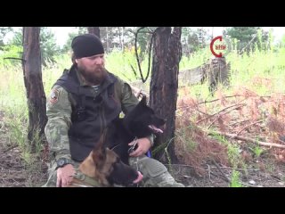 Кузьмич первая в мире собака детектор БПЛА на службе у военнослужащих