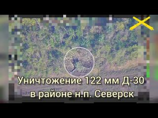 Арта 2 АК ЮВО уничтожила вражескую 122-мм гаубицу Д-30 в районе н.п. Северск