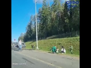 ️В ДТП в Ленинградской области, где грузовик въехал в велосипедистов, не менее двух погибших, сообщает ГУМВД по Санкт-Петербургу