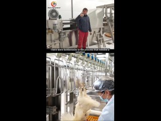 Revolutionizing Poultry Processing: Bekzod's Journey with Eruis Compact Slaughter Line