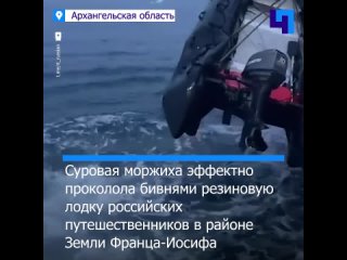 Мама-морж проколола бивнями резиновую лодку россиян