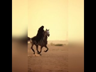 Прекрасные лошади)