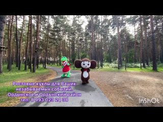 Крокодил Заяц  Медведь и Медведи Ушастик кукла Лол в Ордынске
