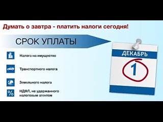 1 декабря срок уплаты налогов за 2023 год.