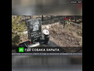 Смотритель кладбища Усть-Абакана Дмитрий Иванов подхоронил к могиле матери любимую собаку, которая 1