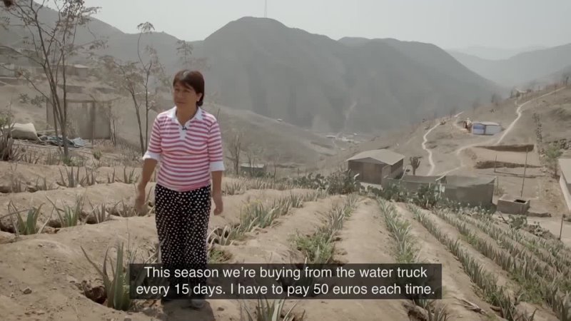 The Real Price of Exotic Fruit  Veg Living Without Water in Peru   Water Shortage Documentary