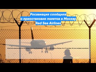 Росавиация сообщила о приостановке полетов в Москву Red Sea Airlines