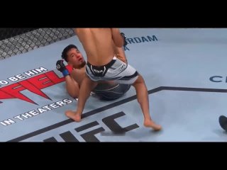 50 Most Brutal Knockouts in UFC 2023 - MMA Fighter