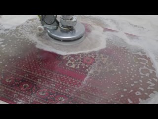Видео от Дулито, химчистка ковров