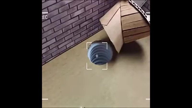 Hamster Lets watch our friend escaping the