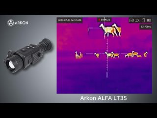 Наблюдение за животными через тепловизионный прицел Arkon ALFA LT35-(1080p60)