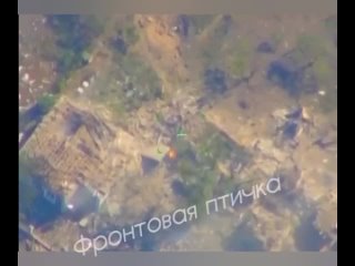 Уничтожение “подвальной“ украинской ДРГ на Херсонском направлении 24 сентября в 12:30 показала “Фронтовая птичка“