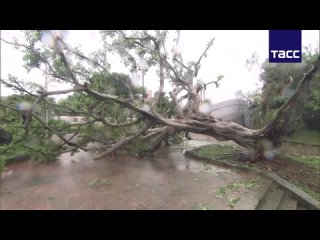 Un tifón ha matado a una persona en el sur de Japón , según NHK
