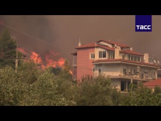 ▶️ Более 90 новых очагов лесных пожаров образовалось за сутки в Греции преимущественно из-за жаркой погоды и сильного ветра. Об