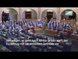 Orbán zu Ungarns Einfuhrverbot für Getreide aus der Ukraine: Die EU hat uns betrogen