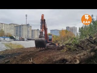 В центре Екатеринбурга возле Царского моста рабочие уничтожили около 50 деревьев
