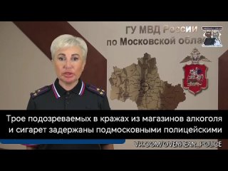 Трое подозреваемых в кражах из магазинов алкоголя и сигарет задержаны подмосковными полицейскими