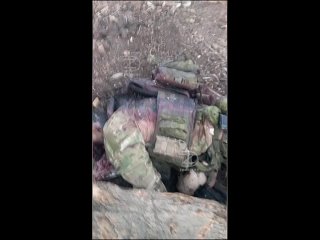 Трупами солдат ВСУ завалены окопы на Артемовском направлении. Видео предоставлено парнями из 1-й ДШРБр “Волки“