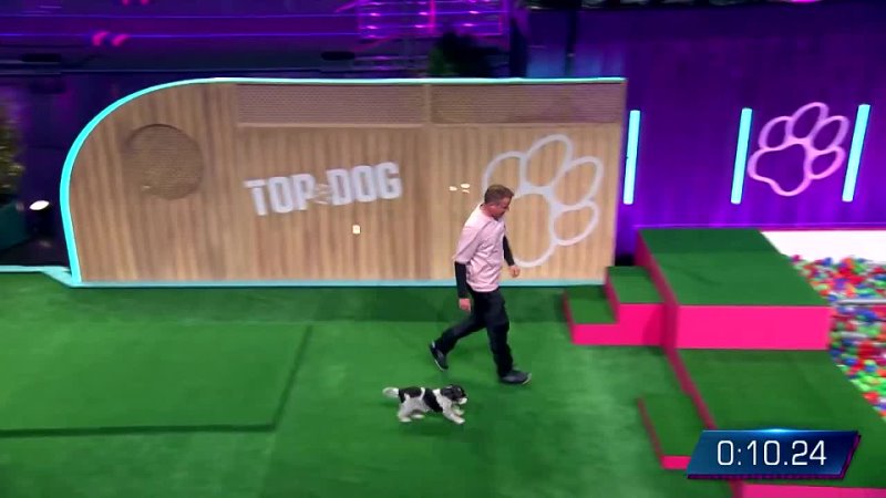 Top Dog Germany, Alexandr and