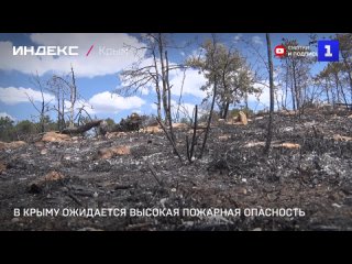 На полуострове ожидается высокая пожарная опасность