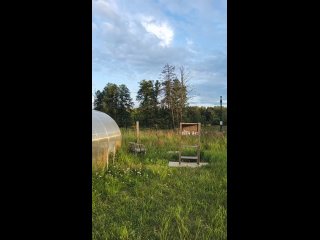 Shooting cans with pneumatic gun.