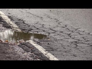 ВИДЕО. Специалисты проверят состояние дороги на Романовку