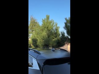 Vídeo de Срочный выкуп и продажа авто в Краснодаре
