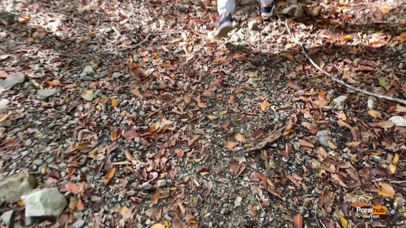 Walking in the woods with my best friend ended up with cum on my ass.