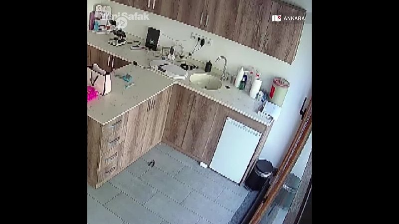 In Turkey, a tranny came to a vet clinic to beat up its staff because his cat