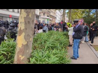 По всей Франции 23 сентября прошли акции против полицейского насилия, которые превратились в нападения “мирных“ демонстрантов на