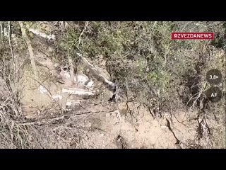 Российские десантники зачистили позиции ВСУ вблизи Артемовска