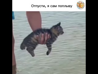 Отпусти, я сам поплыву