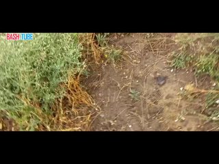🇺🇦🇷🇺 Работа мотострелков группировки «Днепр» по противнику на Херсонском направлении