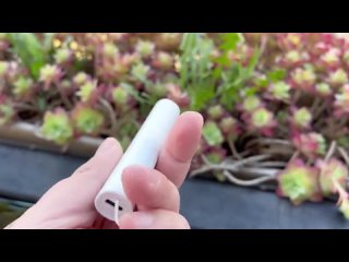 Палка-чесалка Xiaomi от укусов комаров