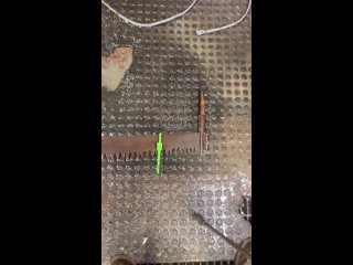 Pressure washing the paint off a crosscut saw after a chemical dip