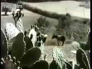 Старый советский видеоролик. Как раз по теме.
