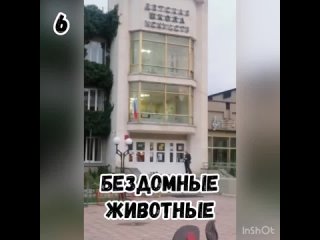 Обращения от подписчиков 🗣️

1️⃣ Загаженная людьми и бродячими псами засохшая клумба у ждвокзала продолжает сохнуть и превращать