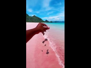 Розовый пляж, остров Комодо. Индонезия 🇮🇩