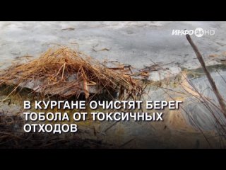 В Кургане очистят берег Тобола от токсичных отходов. (2023-09-26)