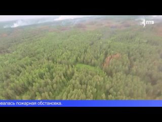 Режим ЧС регионального характера ввели с сегодняшнего дня в лесах Свердловской области