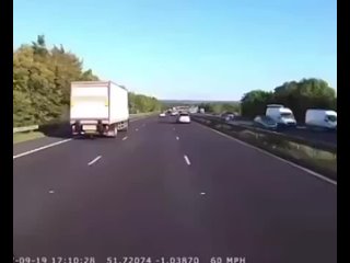 Idiots in cars - He fully stopped the car with his last “woah”