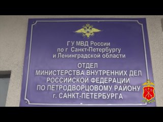 Сотрудники полиции Санкт-Петербурга разыскали похищенный злоумышленниками у 28-летней жительницы Кировского района Северной стол