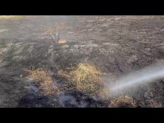 В Крыму резко увеличилось число возгораний сухой растительности